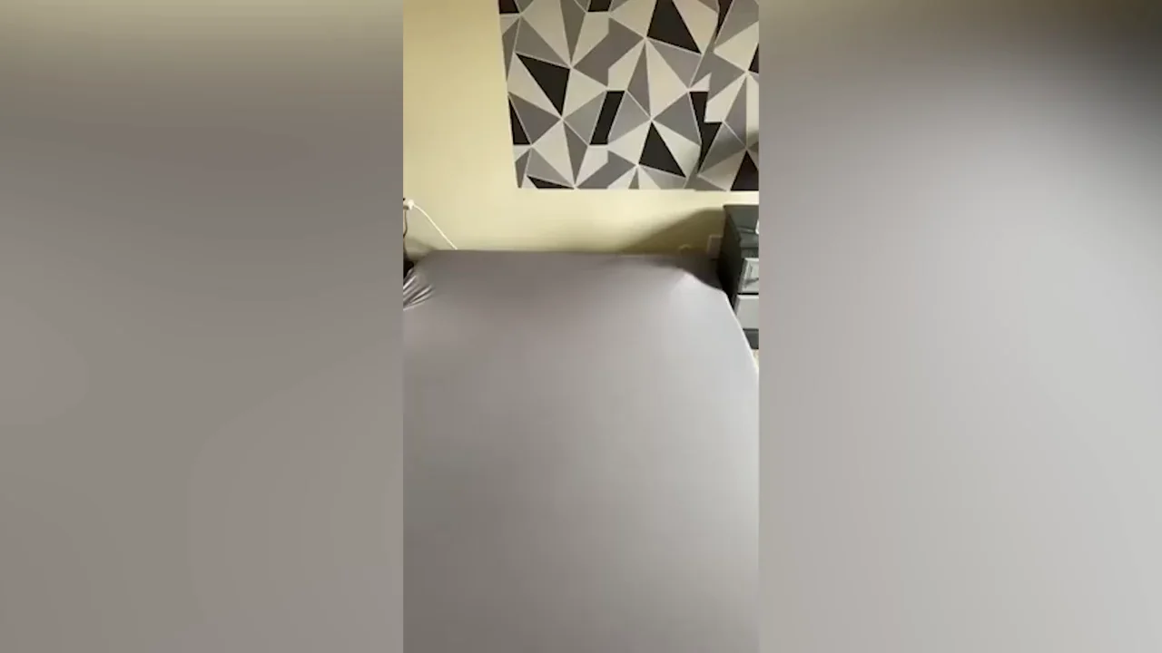 El divertido v&iacute;deo de un gato que se queda encerrado dentro de la cama que acaba de hacer su due&ntilde;o