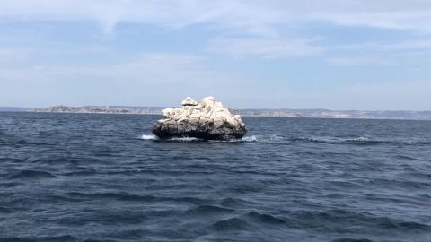 ¿Piedra o barco? El sorprendente vídeo que está confundiendo a muchos