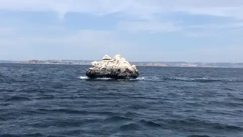 ¿Piedra o barco? El sorprendente vídeo que está confundiendo a muchos ¿Piedra o barco? El sorprendente vídeo que está confundiendo a muchos