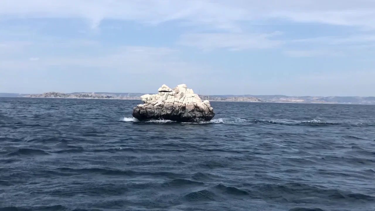 &iquest;Piedra o barco? El sorprendente v&iacute;deo que est&aacute; confundiendo a muchos