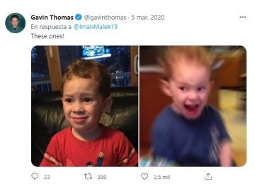Tuit de @gavinthomas