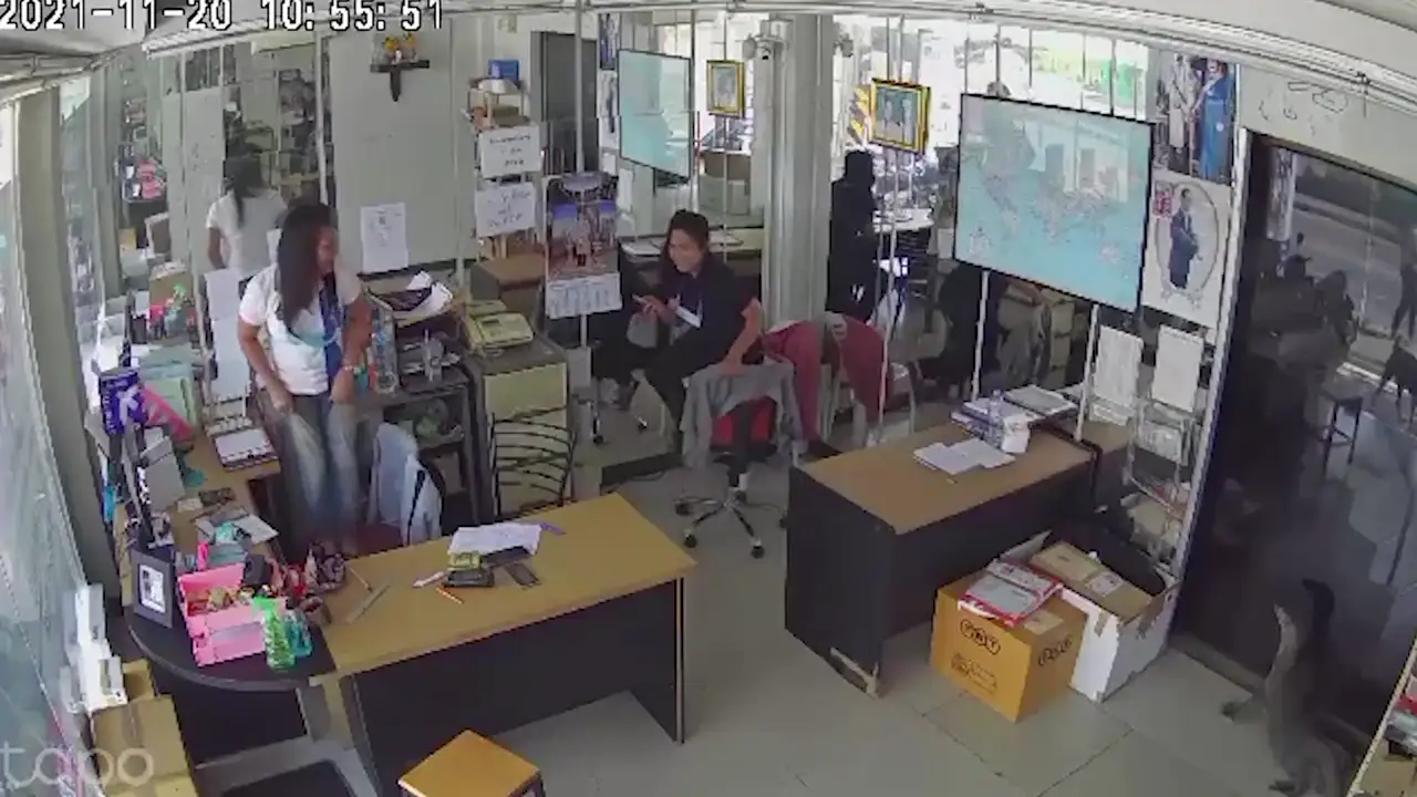 Unas trabajadoras gritan aterradas cuando un lagarto monitor gigante irrumpe en su edificio
