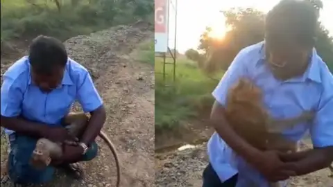 Salva un mono con PCR Salva un mono con PCR