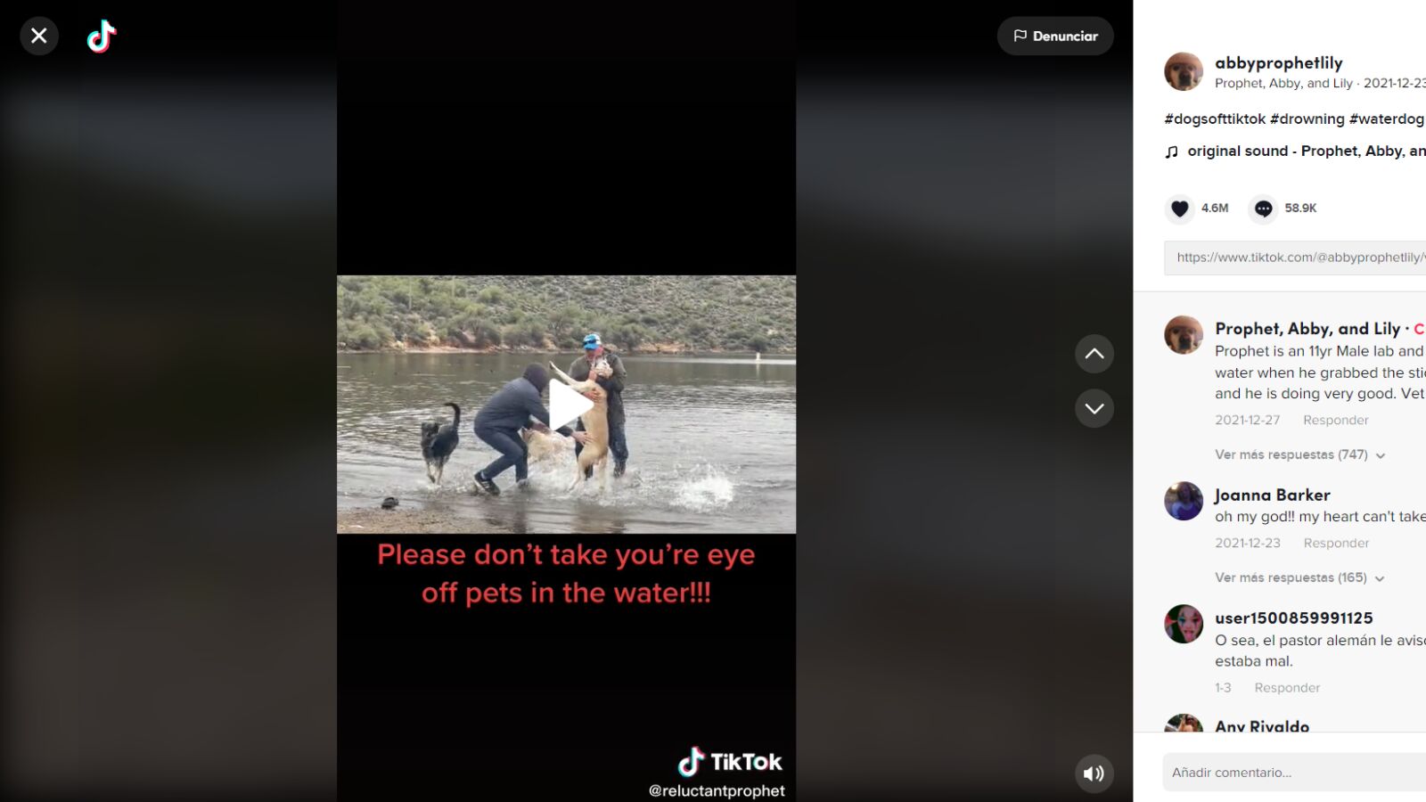 El dramático vídeo que advierte del peligro para los perros amantes del agua