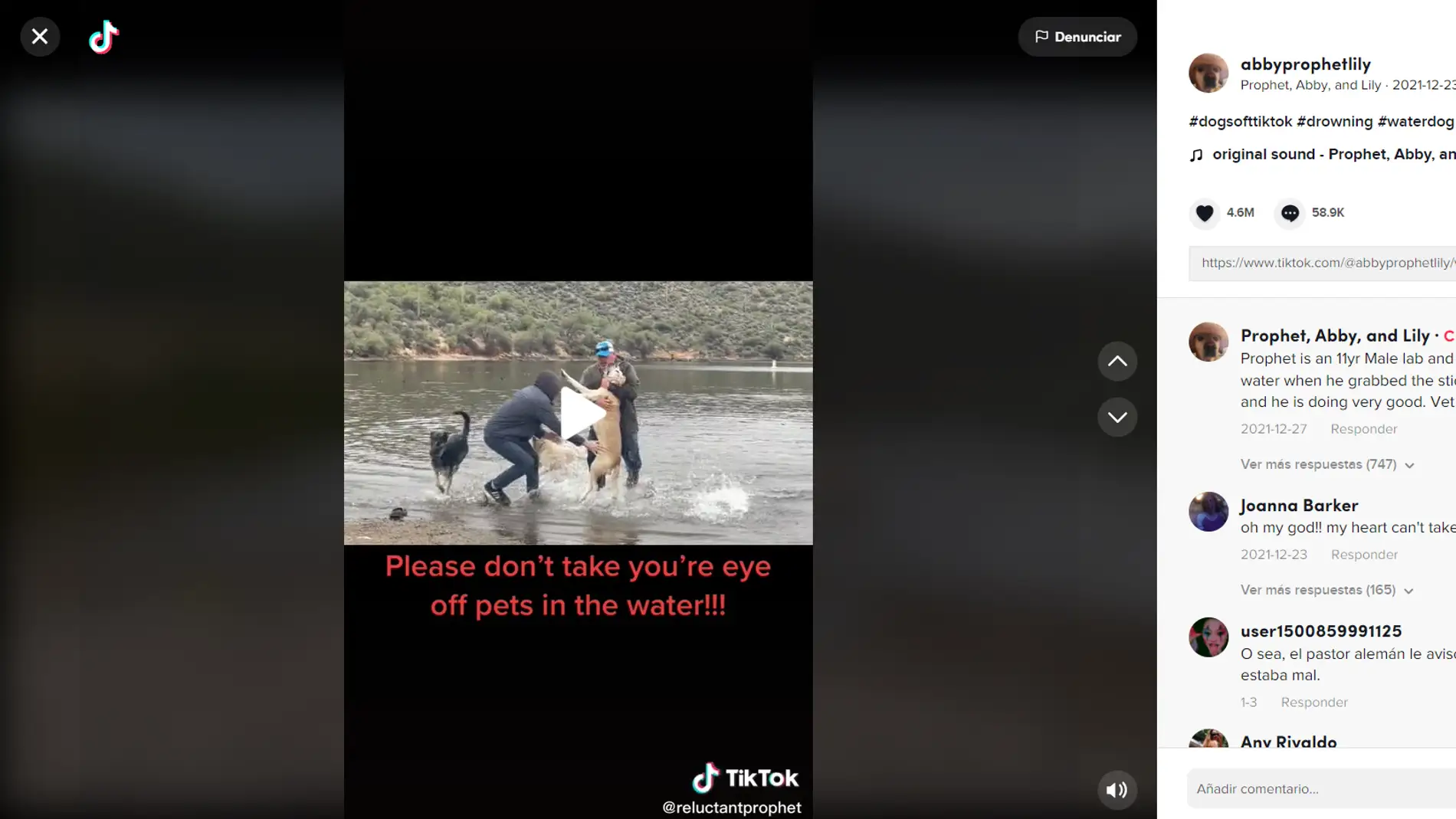 El dramático vídeo que advierte del peligro para los perros amantes del agua