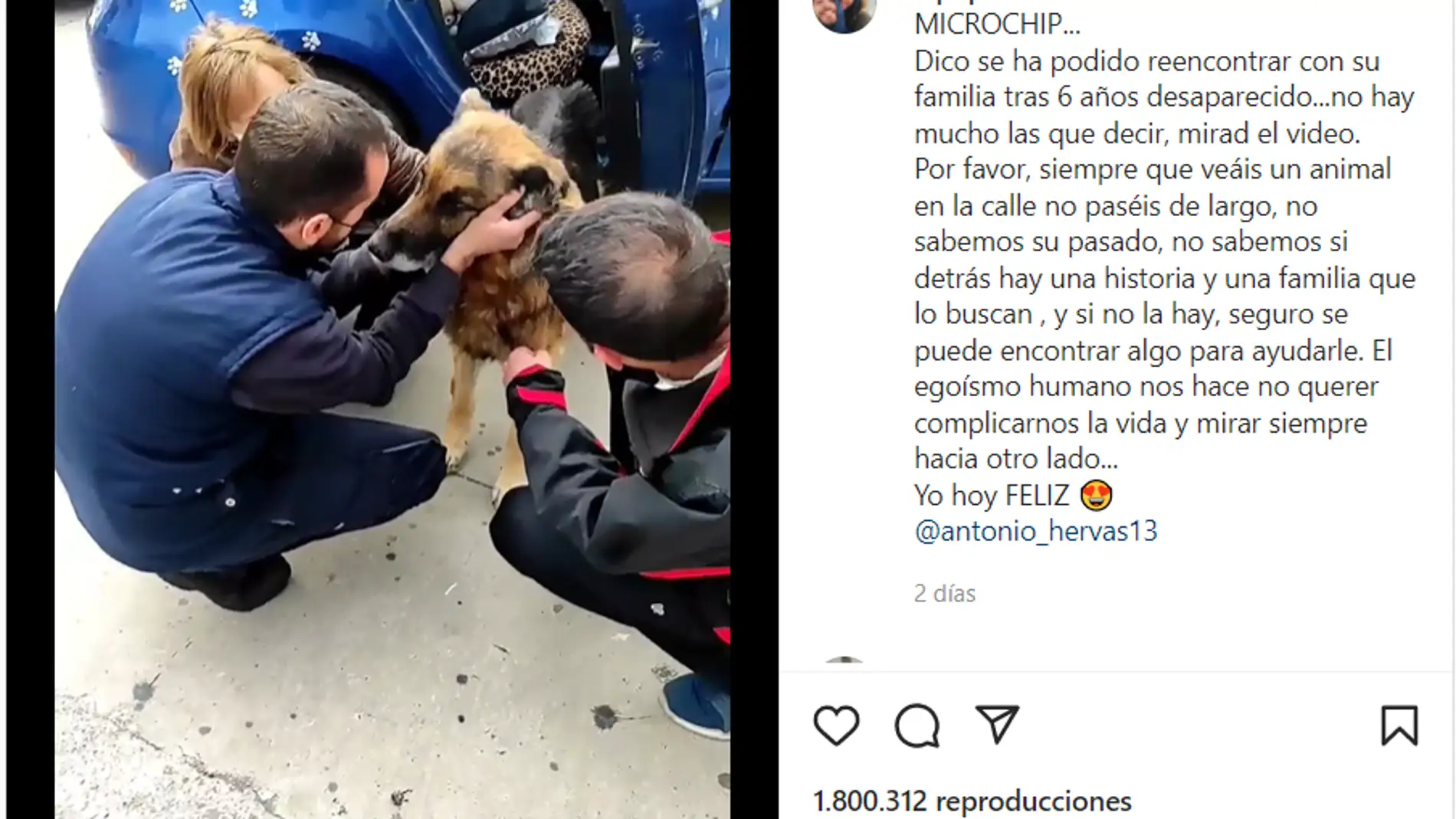 El conmovedor reencuentro de un perro con su familia tras 6 años perdido: "Era de mi padre, que murió sin poder encontrarle"