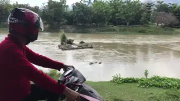 VÍDEO: Indonesia ofrece una recompensa a quien logre quitarle a este cocodrilo la llanta que tiene en el cuello