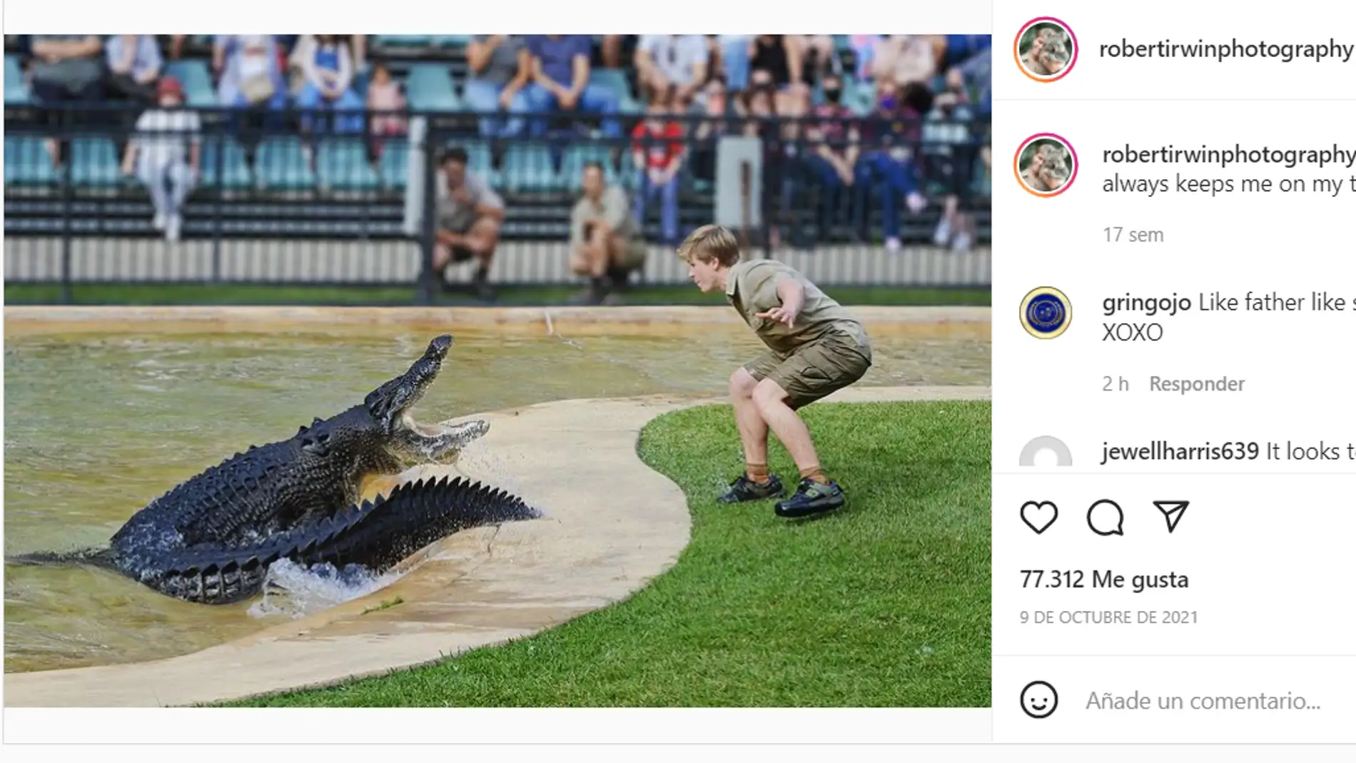 El hijo de Steve Irwin es atacado por un cocodrilo de más de 4 metros