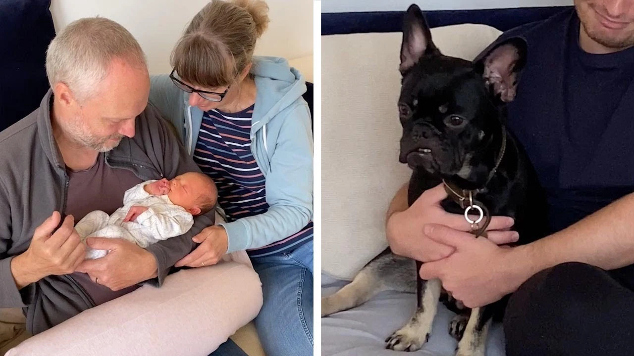 La divertida reacci&oacute;n de un perro cuando conoce al beb&eacute; de su due&ntilde;a