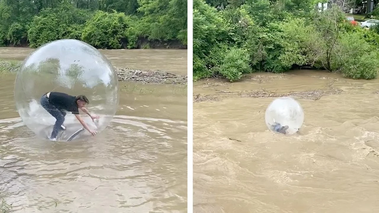 Intenta cruzar el rio en una bola de hamster
