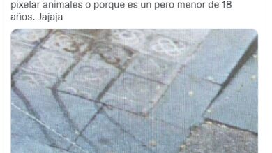 La extraña práctica de Google Maps de pixelar las caras de los perros y las vacas