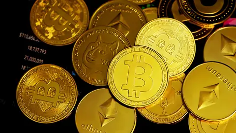 Los Mossos crean un buscador para ayudar a posibles víctimas a detectar estafas con criptomonedas Los Mossos crean un buscador para ayudar a posibles víctimas a detectar estafas con criptomonedas