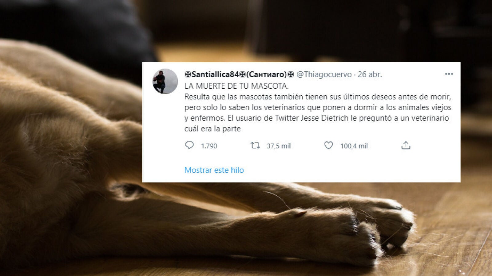 El hilo sobre el último deseo de tu mascota que está haciendo llorar a todos