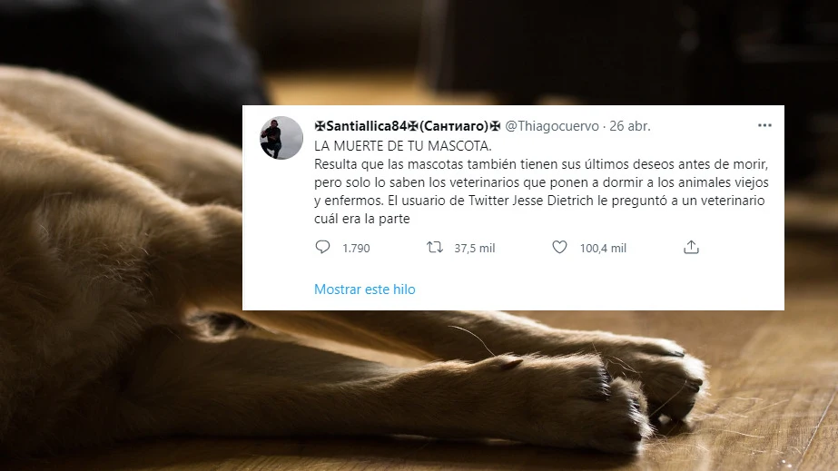 La muerte de tu mascota