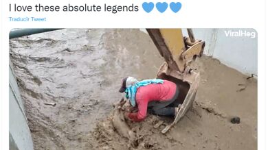 Un albañil se sube a la pala de una excavadora para rescatar a un perro arrastrado por la corriente