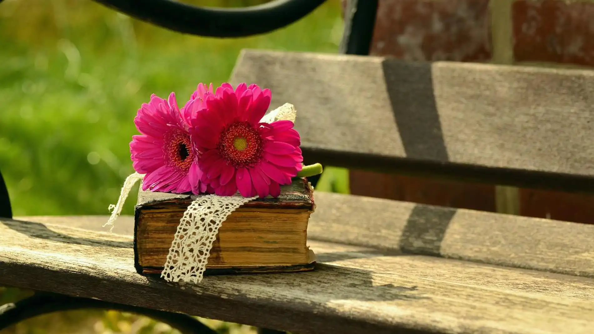 Biblia sobre un banco