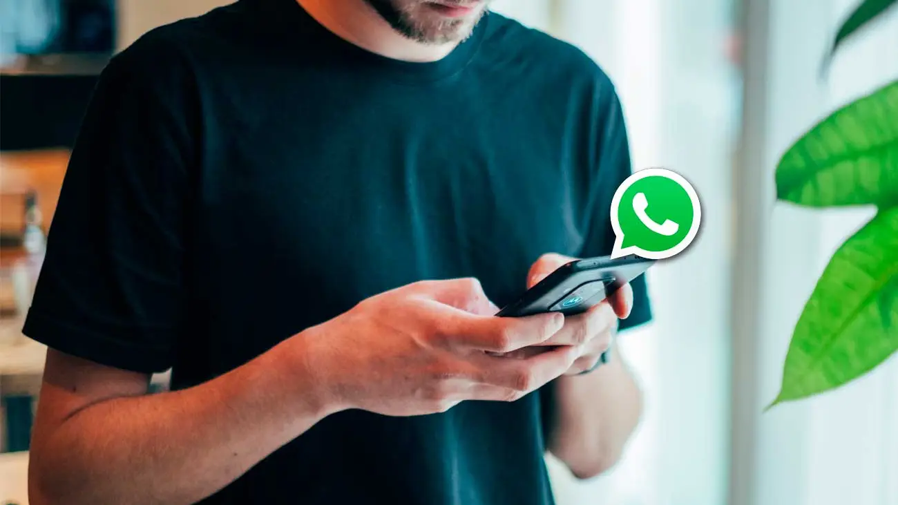 WhatsApp WhatsApp