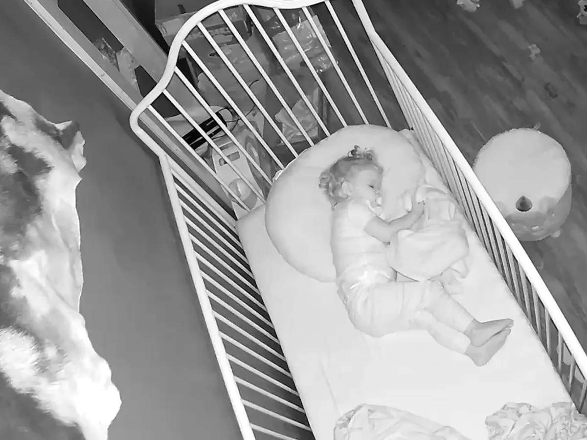 Una cámara de seguridad capta cómo un bebé escapa de su casa y sus