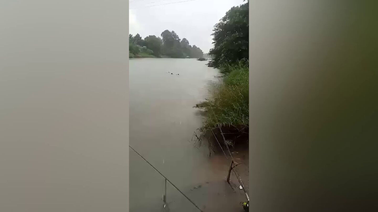Los pescadores rescatando al perro