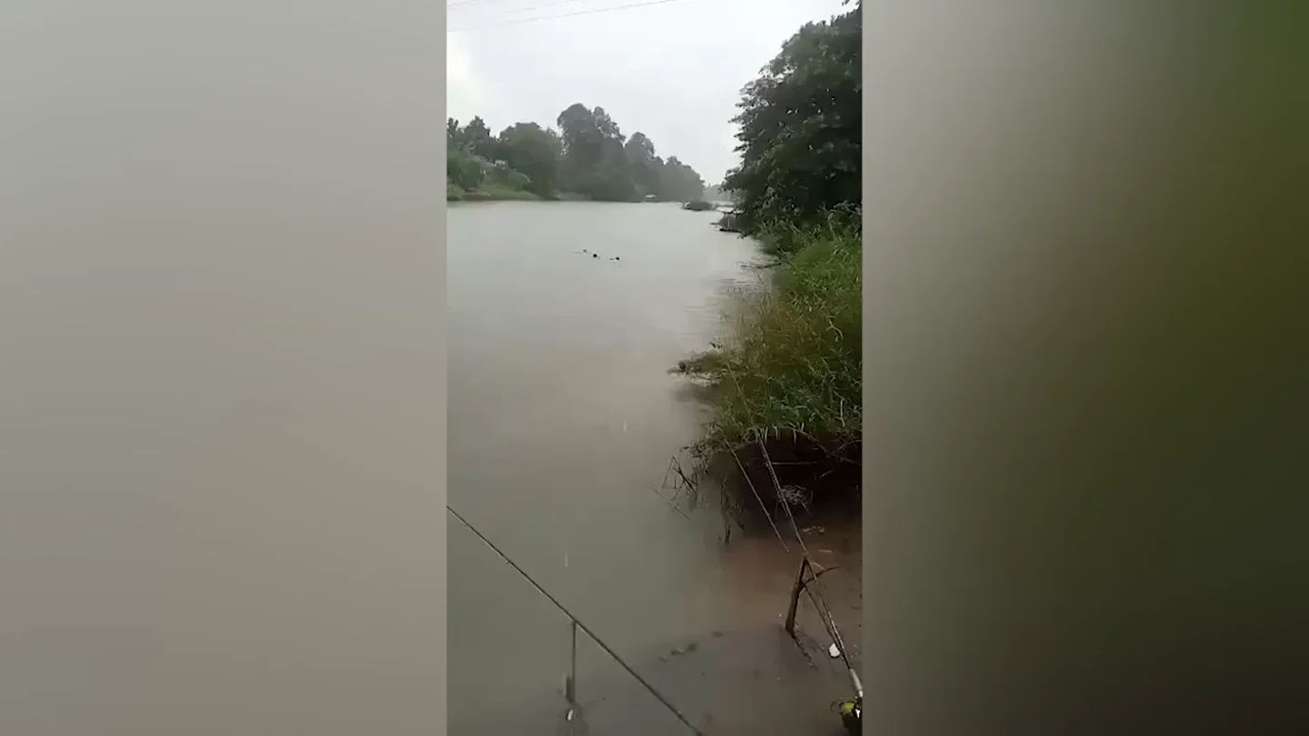 Los pescadores rescatando al perro Los pescadores rescatando al perro