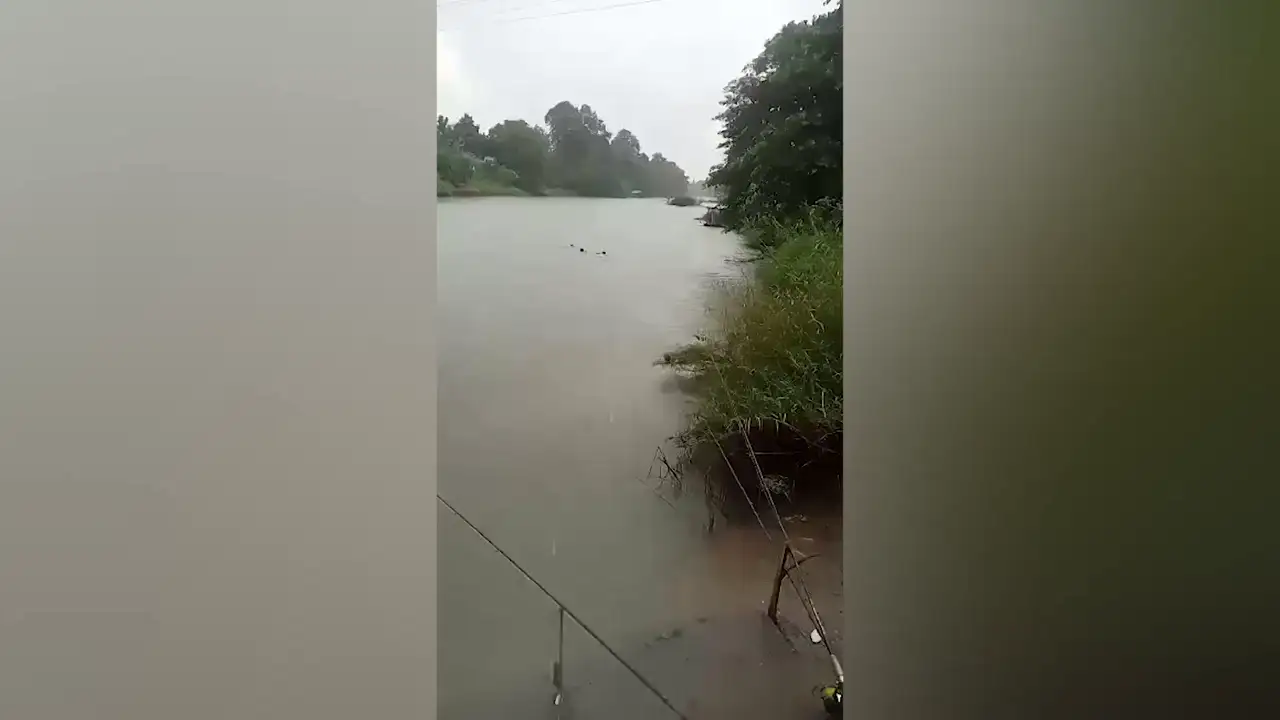 Los pescadores rescatando al perro