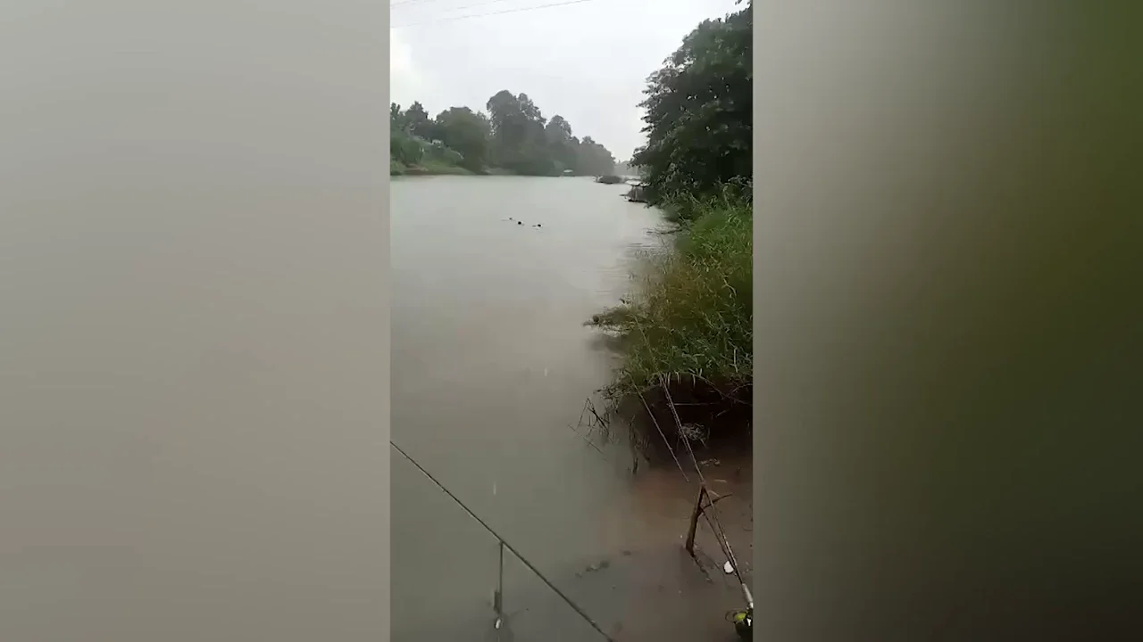 Los pescadores rescatando al perro Los pescadores rescatando al perro