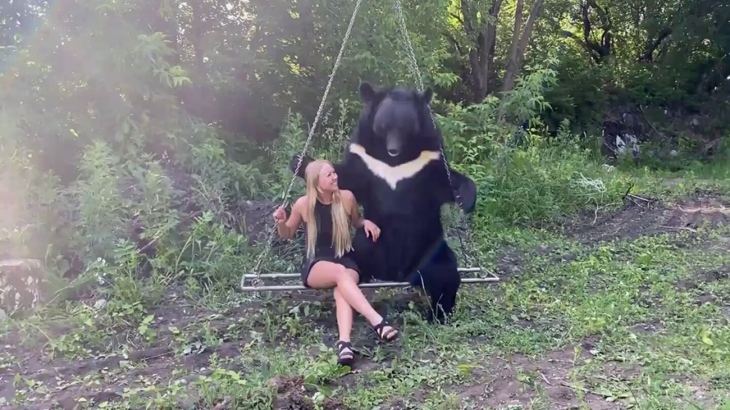 Una mujer se columpia con un oso gigante en Siberia
