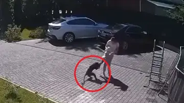 Un mono intenta robar a una niña de dos años