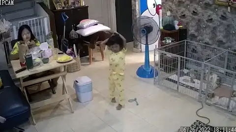 Una familia se lleva el susto de su vida cuando una serpiente venenosa cruza su salón Una familia se lleva el susto de su vida cuando una serpiente venenosa cruza su salón