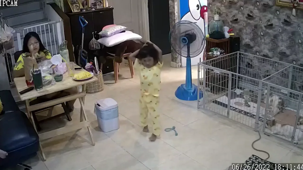 Una familia se lleva el susto de su vida cuando una serpiente venenosa cruza su sal&oacute;n 