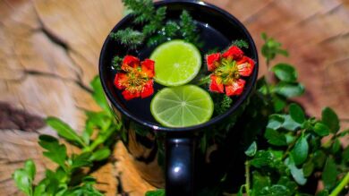 Paparruchadas para la erección y el placer sexual