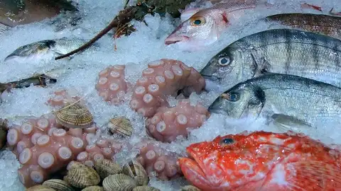 Pulpo en una pescadería (archivo) Pulpo en una pescadería (archivo)