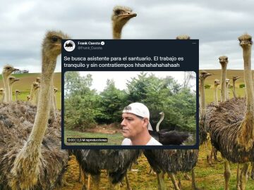 Los mejores memes del vídeo de Frank Cuesta arrollado por un avestruz