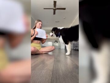 El increíble vídeo de un perro que sabe recibir ordenes escritas en un papel