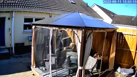 Un perro salva la vida de su mejor amigo que iba a morir ahogado en un jacuzzi Un perro salva la vida de su mejor amigo que iba a morir ahogado en un jacuzzi