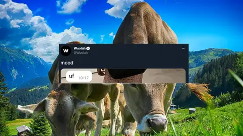 El chiste más malo contado en una conversación de WhatsApp que ha puesto patas arriba todo Twitter El chiste más malo contado en una conversación de WhatsApp que ha puesto patas arriba todo Twitter