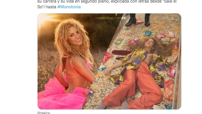 Un hilo de twitter analiza relaci&oacute;n de Shakira con Pique