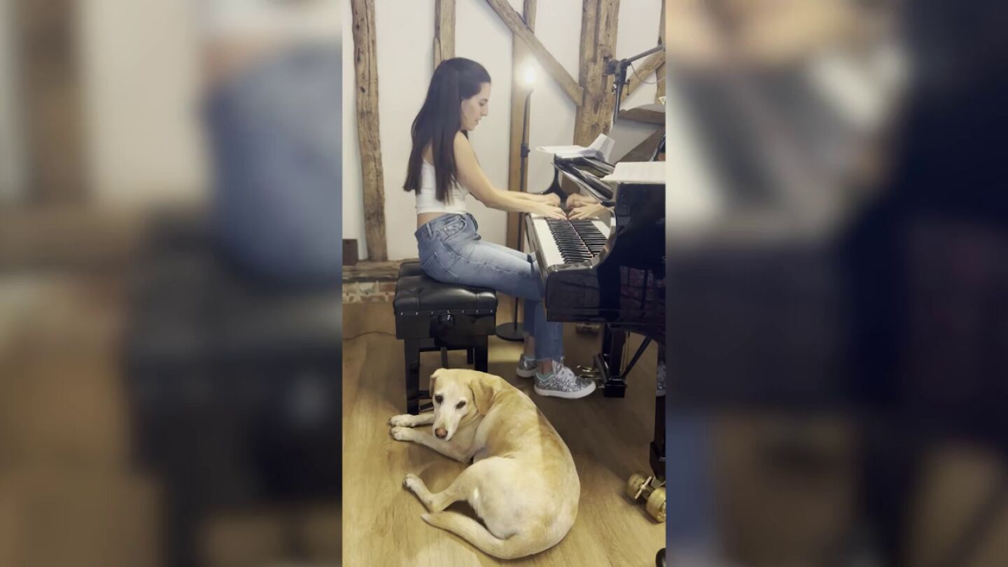 La reacci&oacute;n de este perro cantor al oir a su due&ntilde;a tocar el piano