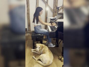La reacción de este perro cantor al oir a su dueña tocar el piano