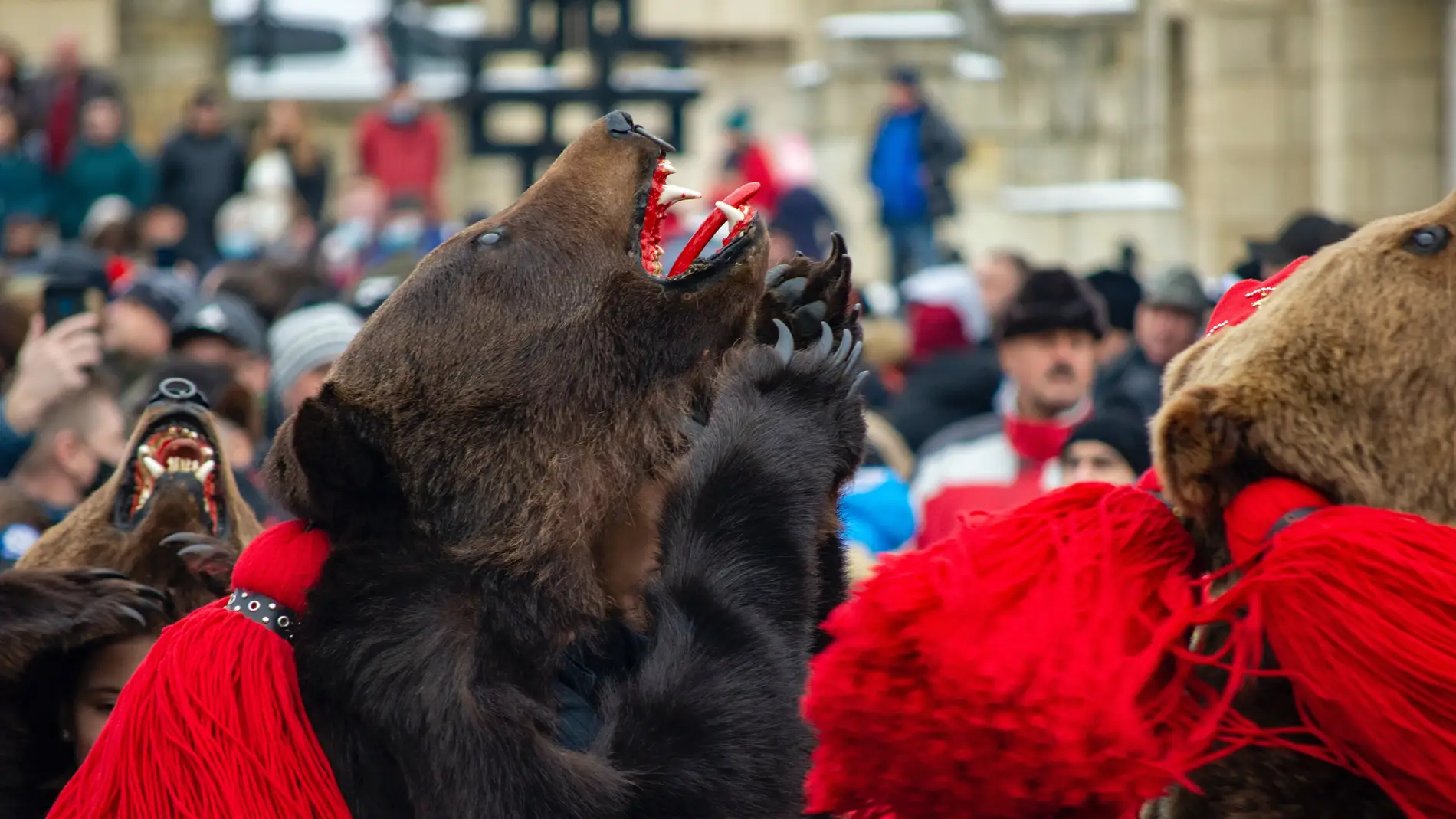 Festival del oso en Onești, Rumania