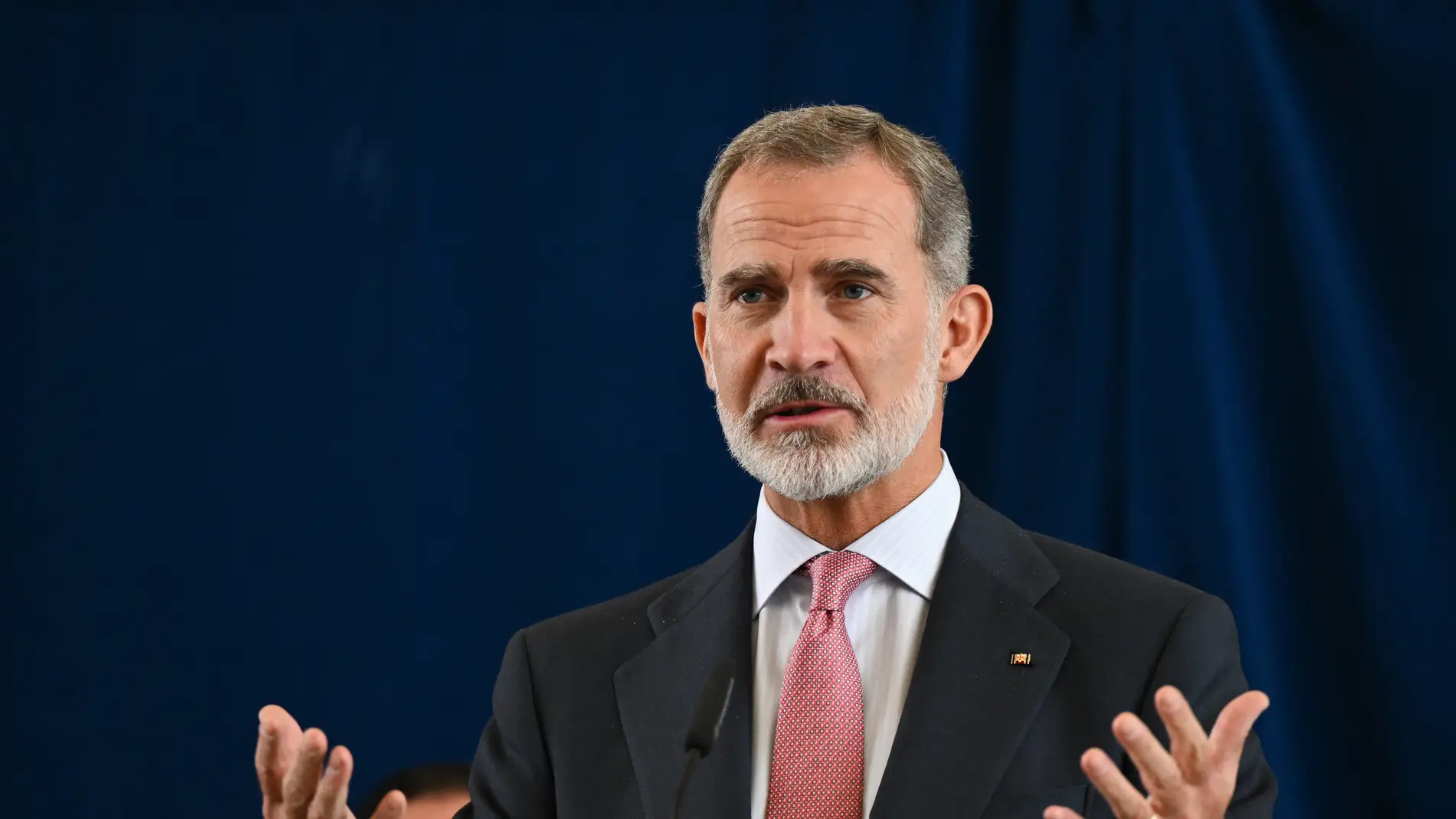 El rey Felipe VI