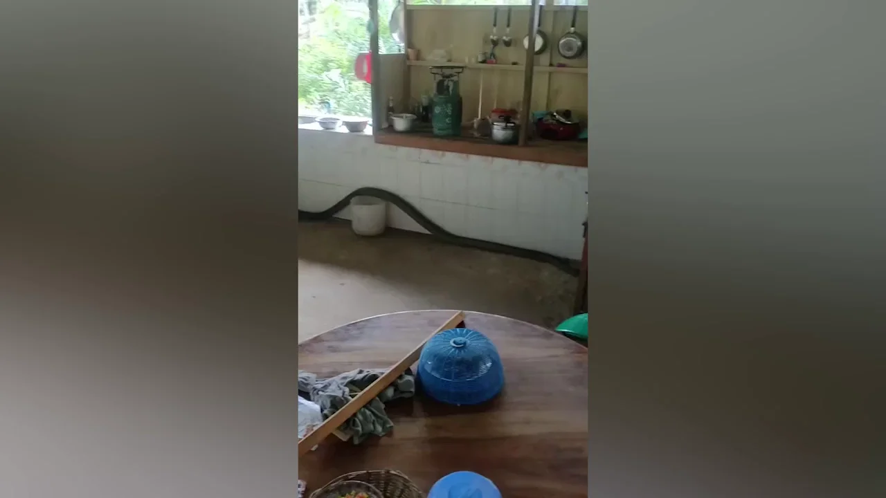 Una gigantesca cobra aterroriza a una familia desliz&aacute;ndose por su cocina