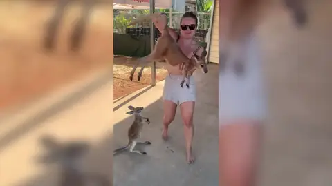 Una mujer conmociona a las redes al coger a un conguro por la cola Una mujer conmociona a las redes al coger a un conguro por la cola