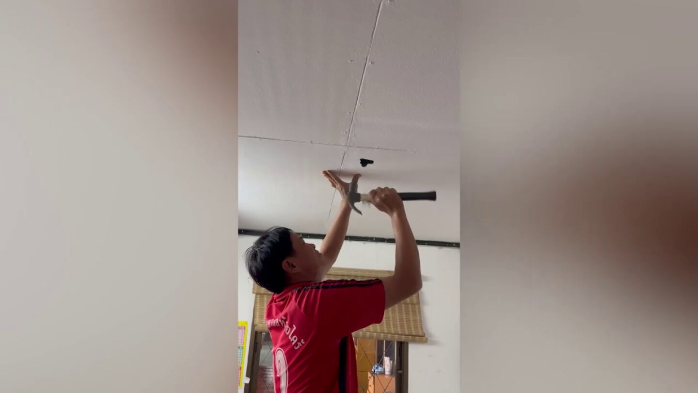 Un padre escucha ruidos en el techo de su casa y se lleva un adorable susto cuando abre un agujero