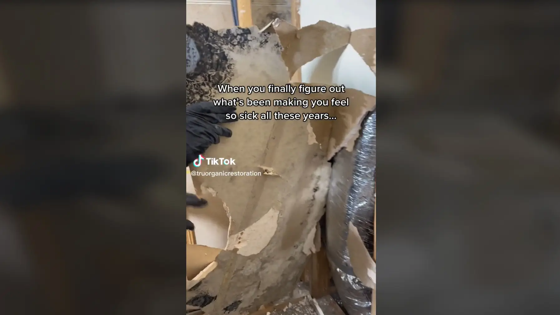La casa llena de moho que se ha vuelto viral en TikTok