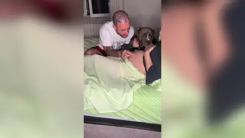 Un perro escucha los latidos de la bebé de su dueña Un perro escucha los latidos de la bebé de su dueña