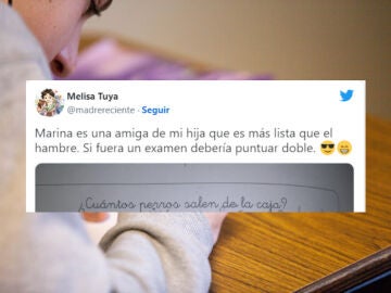 &iquest;Cu&aacute;ntos perros salen de la caja?