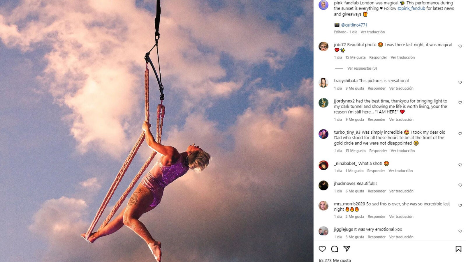 Una fan le tira a Pink las cenizas de su madre durante un concierto