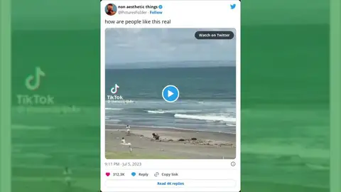 Una influencer es pillada mientras finge limpiar una playa de Balí: "las imágenes son reales" Una influencer es pillada mientras finge limpiar una playa de Balí: "las imágenes son reales"
