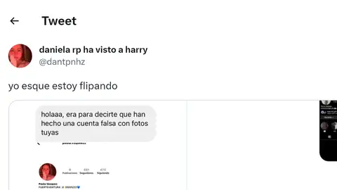 Pantallazo del tuit de @dantpnhz Pantallazo del tuit de @dantpnhz